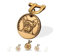 Xiniear Medaille Chien avec Gravure, Médaille Chien gravée personnalisée en laiton, Avec Prénom Adresse Tel Gravés (Pitbull)