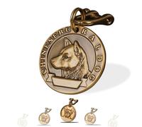 Xiniear Medaille Chien avec Gravure, Médaille Chien gravée personnalisée en laiton, Avec Prénom Adresse Tel Gravés (Chiens)