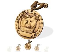 Xiniear Medaille Chien avec Gravure, Médaille Chien gravée personnalisée en laiton, Avec Prénom Adresse Tel Gravés (Akita)