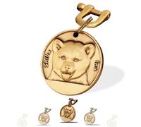 Xiniear Medaille Chien avec Gravure, Médaille Chien gravée personnalisée en laiton, Avec Prénom Adresse Tel Gravés (Shiba Inu)