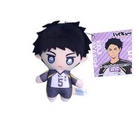 Xinnice Haikyuu!! Coussin d'anime, Akaashi Keiji Soft Figure PP Coton Dessin animé Figure Coussin Sac à dos Charme Canapé Voiture Décoration Maison Cadeaux pour les fans, 10 cm