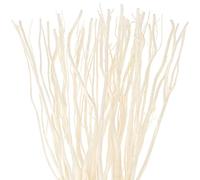 Xinnun 50 Pièces Remplisseur de Vase Saule Séché Branches Bouclés 17 Pouces d'arbre pour Décoration Brindilles et Bâtons Décoratifs Noël (Blanc Scintillant), one size
