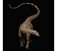 XINPANYIAN REBOR 1:35 Diplodocus carnegii Catch The Rainbow Museum Version unie Modèle dinosaure