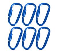 Xinsheinelry 6 Lots Grand Mousqueton Solide Petit Mousqueton Porte-clés Pack mousquetons Pince pour matériel de randonnée et de Camping