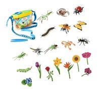 Xinsheinelry Assortiment intéressant de créatures rampantes pour stimuler la curiosité des et des Amateurs de biologie Modèles d ' Erreur réalistes pour Les