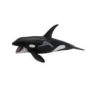 Xinsheinelry Baleine Baleine Jouet d ' Apprentissage cognitif Conception de créature Marine réaliste Jouet éducatif en Plastique Robuste adapté pour la Marine