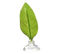 Xinsheinelry Cachette décorative de lit avec ventouse, cachette verte pour aquarium, terrarium, poissons