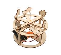 Xinsheinelry Carrousel modulaire en Bois, Ensemble éducatif, Jouet Scientifique à Rangement Facile pour, activité d ' Assemblage et Apprentissage Amusant, Science créative