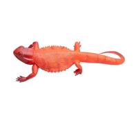 Xinsheinelry Collection d ' Insectes synthétiques Flexibles, idéale pour Les étudiants, l ' Exploration en Plein air, Les activités de découverte de la Nature, poupées de farces Amusantes pour