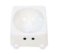 Xinsheinelry Fournisseur supplémentaire de chat en faïence avec plan surélevé pour la pose résistante aux déversements, bol simple pour chat avec trente