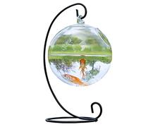 Xinsheinelry Petit Bol À Poisson en Verre De Table Vase Créatif À Suspendre Boule en Verre Permettant Gagner l'espace Aquarium pour La Décoration La Maison Bol Réservoir Suspendu avec
