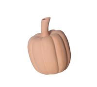 Xinsheinelry Pointes de jardinage en argile - Capacité de 150 ml - Idéales pour une utilisation en intérieur et en extérieur - Pour économiser du temps et de l'énergie - Ampoules d'arrosage des