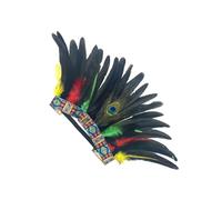 Xinsheinelry Serre-tête indien à plumes pour carnaval et festival de MardiGras pour adultes