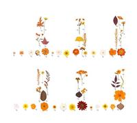 Xinsheinelry Véritable feuille séchée d'automne et fleur outil pour loisirs créatifs, scrapbooking, fabrication de cartes, marque-pages, décoration, feuilles séchées naturelles