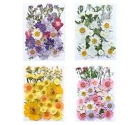 Xinsheinelry Véritable feuille séchée d'automne et fleur outil pour loisirs créatifs, scrapbooking, fabrication de cartes, marque-pages, décoration, feuilles séchées naturelles