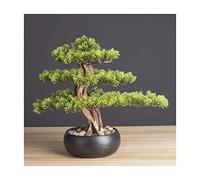 xinxinchaoshi Artificielle Maison Plantes Faux Bonsaï réaliste, Plantier, Céramique Noire Pot Rond et Pebbles Décoration de Bureau Cadeaux Novelty (H14.2) Arbre Artificiel Bonsai déco (Color : A)