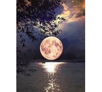 Xinyuer 5D DIY Diamond Painting Kit Complet Lune Eau Mer Kit de Peinture Diamant Stitch Enfant Gem Art Artisanat Cristal Point de Croix Broderie Peinture pour Maison Décoration Murale 50x70cm