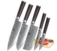 XINZUO Acier Damas Professionnels 5 Pièces Ensemble de Couteaux de Cuisine | 67 Couches Acier Damas Finition Martelée Tranchant Couteau de Chef Santoku Nakiri Universel Fruits -Poignée en Bois de Pakka