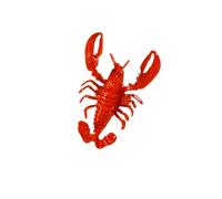XIOANG Ensemble de bracelets et bagues en forme de homard rouge en alliage robuste pour offrir un beau thème de homard rouge avec des bagues assorties en alliage robuste