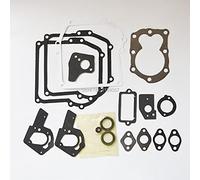 XIOSOIAHOU Segment de Piston Tête de Cylindre de Joint de vanne Moteur pour Briggs & pour Stratton 495605 pour remplacer 494550
