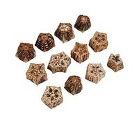 Xiuganpo Blocs à Mâcher pour Perroquets, 60 Pièces, Décoration Créative, étoile à Cinq Branches, Noix Naturelles, Idéal pour Le Meulage du Bec