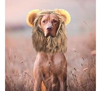 Xiuganpo Chapeau de Perruque de Lion pour Animaux de Compagnie, Déguisement pour Chats et Petits Chiens, Cool et concentré Lors des Fêtes, fabriqué en Peluche de Bonne qualité, 1 Pièce