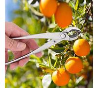 Xiuganpo Ciseaux de Jardin Durables en Acier Inoxydable, branches de Haute qualité pour Tailler les Fleurs, Outils de bonsaï