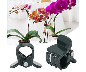 Xiuganpo Clips de Support Durables pour Plantes, 200 Pièces, pour la Croissance des Orchidées dans Le Jardin, en Plastique, Taille 1.1cm