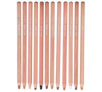 Xiuganpo Ensemble de Crayons Pastel Professionnels, Crayon Toner écologique Non Toxique pour Dessin animé, Animation, 12 Pastels