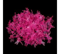 Xiuganpo Lot de 100 Pinces à Orchidées, Forte Adhérence, Support Doux, Pinces de Jardin avec Design Réutilisable pour Vignes, Tomates, Concombres, Melons, Fleurs (Rose Rouge)