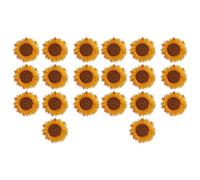 Xiuganpo Patchs de Tournesol Brodés, Patchs Adhésifs Thermocollants à Double Méthode, à Coudre avec 20 Pièces de Tissu Identiques pour Vestes, Jeans, Sacs à Dos, Sacs Fourre-tout, Chapeaux, Chaussures
