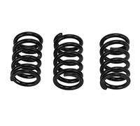 Xiuganpo Ressorts de Système de Pont pour Guitare électrique Jazz, Ressorts de Tension de Bras de Trémolo 3 Pièces avec une Bonne Tension (BLACK)