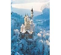 XiuTaiLtd Puzzles pour Adultes 1000 Pièces Puzzles en Bois À Bricoler Soi-Même Puzzles Difficiles Jouet Éducatif Cadeau Jeux De Puzzle, Château De Neuschwanstein en Hiver