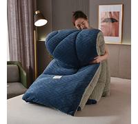 XIUWOUG Épaissir Cachemire Courtepointe Double Chaude Gonflant, Édredon Anti Allergène, 2 Personne Laine Luxueuse, Chaud Et Confortable, B, 200X230 3KG