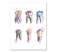 XIUWOUG Tableau Décoration Murale, Dents Aquarelle Posters et Arts Décoratifs, Affiche de Toile, Impressions sur Toile, Bureau du docteur Posters Muraux,A,80x120cm No Frame