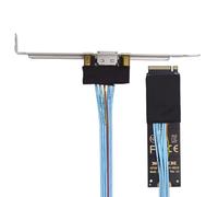 xiwai Adaptateur de Carte M.2 2280 NGFF PCI-E4.0 M-Key vers câble hôte Oculink SFF-8612 SFF-8611 30 cm avec Support pour SSD NVME U.2 eGPU