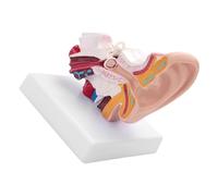 Xixian Modèle D'anatomie de L'oreille Humaine Agrandi 1,5x, PVC, Aide à | Structure détaillée de l\'oreille interne, moyenne et externe, matériau PVC pour études médicales, enseignement en classe,