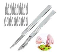 XiXiRan Couteau de Jardinage et de Poche - Scalpel de Découpe, Couteau Greffer et à Graver, Inclus 20 Lames de Rechange