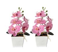 XIZHI Lot de 2 orchidées artificielles avec vase, 25,4 cm, bonsaï, fleurs papillon en soie avec pot pour mariage, bureau, décoration d'intérieur, centres de table (rose)