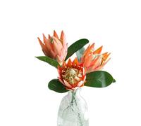 XIZHI Protea Cynaroides artificielles à 3 tiges en Soie au Toucher réaliste pour centres de Table de Mariage, Arrangements Floraux, Bouquet décoratif (Orange)