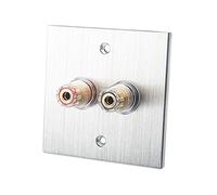 Xjdzineq Connecteur Banane Plaque murale en alliage d'aluminium pour haut-parleurs Home Cinéma Kit électronique