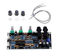 Xjdzineq Module amplificateur auditif M273 avec contrôle micro indépendant pour les amateurs de karaoké