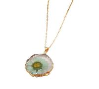 XJEIVJIC JZWCHQ Fleurs pressées séchées pour Femmes et Filles, Fleurs séchées Collier Pendentif Cercle irrégulier Fleur Fraîche conservée, Collier Ne m'oubliez pas, Fleur pressée
