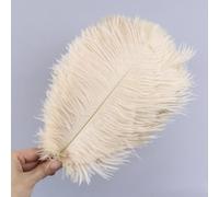 XJHWD 10 pièces 25-30 CM Grandes Plumes d'autruche Teintes Blanc cassé Plumes de Coq Artisanales colorées Plumes colorées pour l'artisanat de Vase de décoration de Mariage