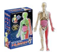XJKLBYQ Modèle du Corps Humain pour Les Enfants, modèle du Corps Humain pour Les Enfants Qui Brille dans l'obscurité - Modèle interactif d'anatomie, d'anatomie et d'outils d'étude de physiologie