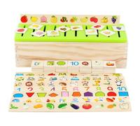 XJKLBYQ Perles de fusibles Pergoards, Jouets de trieurs en Bois 8 Types, plafonds en Plastique Plateau d'artisanat pour Enfants