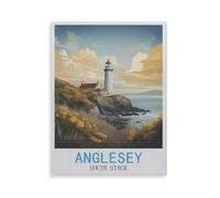 XJUfW Numéro d'Art Kit Peinture par Décoration Murale et Cadeaux Pour La Maison,Anglesey South Stack,Peinture par Numéros pour DIY Peinture Numero Adulte Débutants ,40x50cm(AA-1446