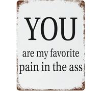 XKKLJH Décoration murale pour chambre à coucher avec inscription « You are My Favorite Pain in The Ass » - 15,2 x 20,3 cm - Décoration de Pâques - Plaque en métal vintage pour maison, bar, café - 20,3