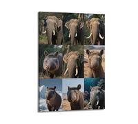 XKUGA Poster de la faune africaine - Habitat naturel, cerf, éléphant, rhinocéros - Impression sur toile - Décoration murale moderne pour chambre à coucher (50 x 75 cm)