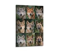 XKUGA Poster décoratif sur toile avec guide des espèces de loup et animaux de la jungle - Affiche murale moderne pour chambre à coucher - 50 x 75 cm